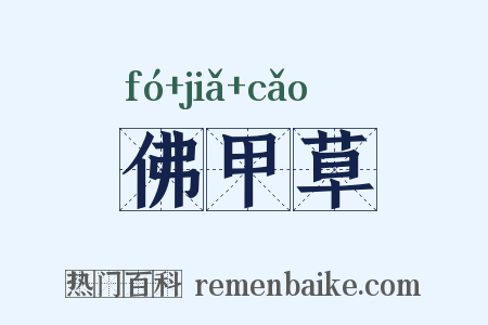 佛甲草是什么意思的图片